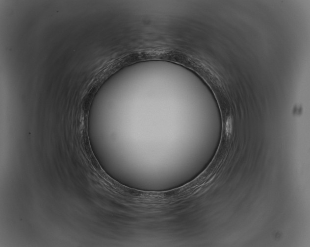 X0000094971299200711291128