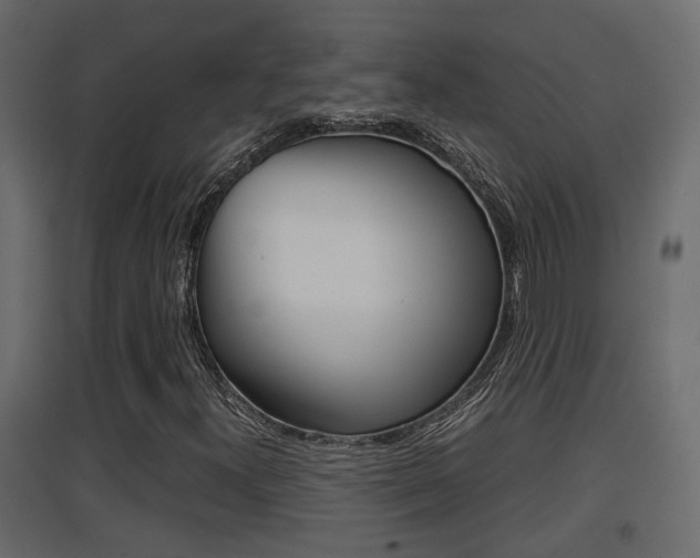 X0000094971300200711291128