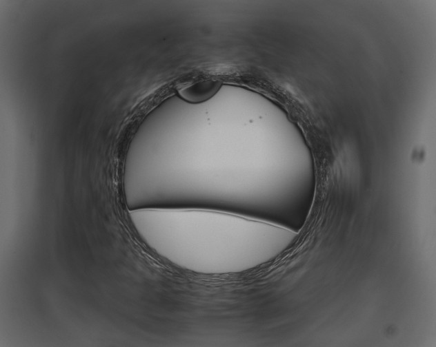 X0000094971301200711291128