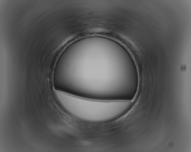 X0000094971305200711291128