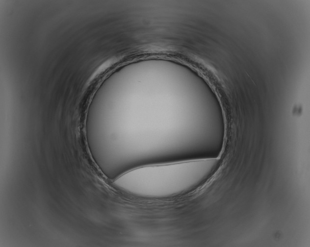 X0000094971306200711291128