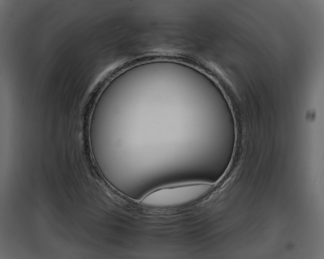 X0000094971307200711291128