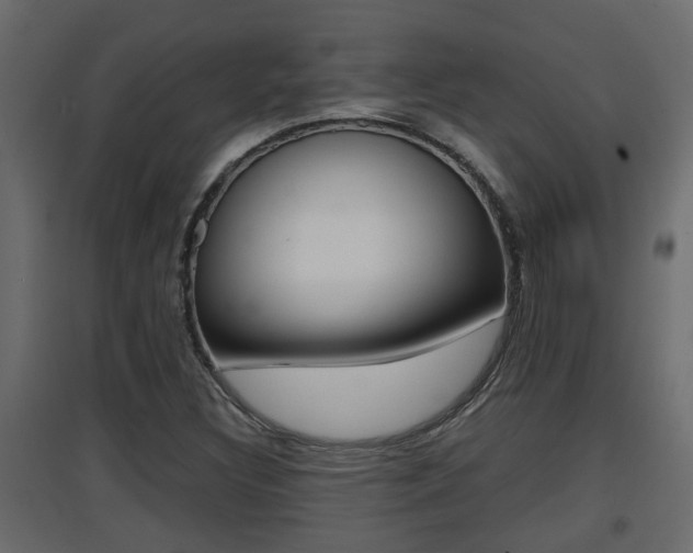 X0000094971308200711291128