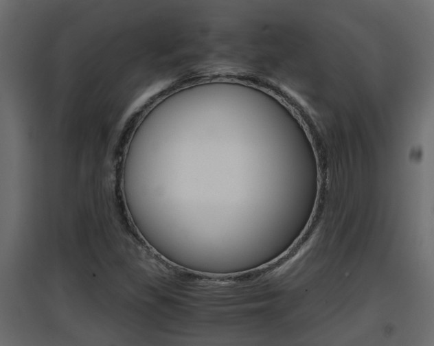 X0000094971309200711291128