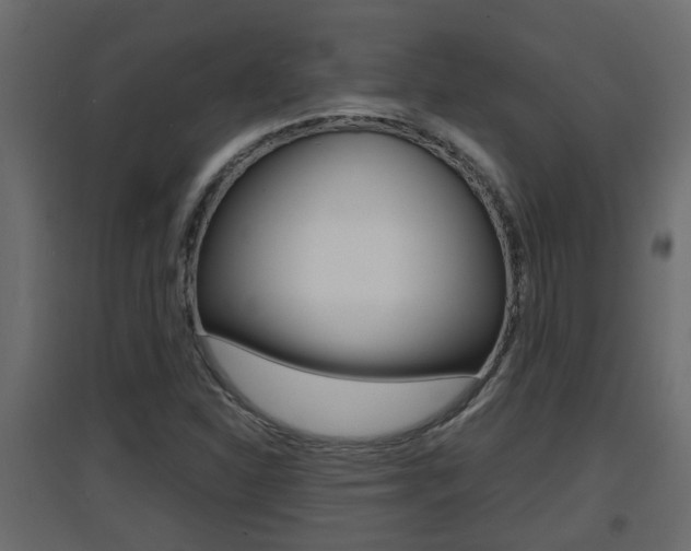 X0000094971310200711291128