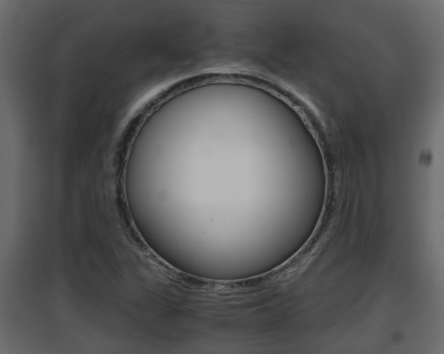 X0000094971311200711291128