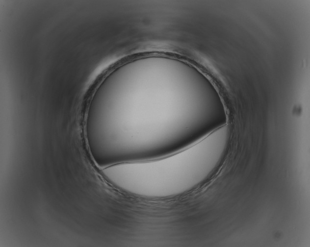 X0000094971312200711291128