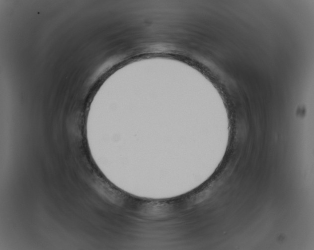 X0000094971314200711291128