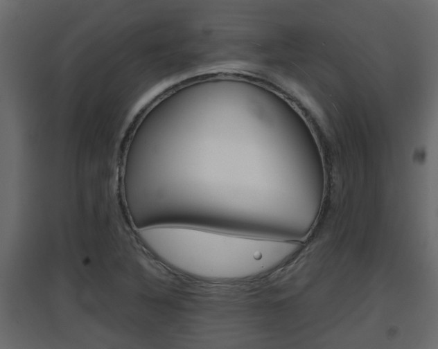 X0000094971316200711291128