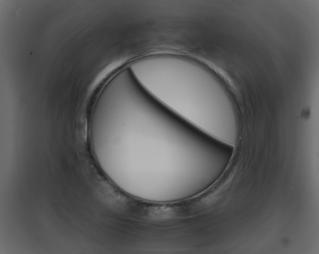 X0000094971317200711291128