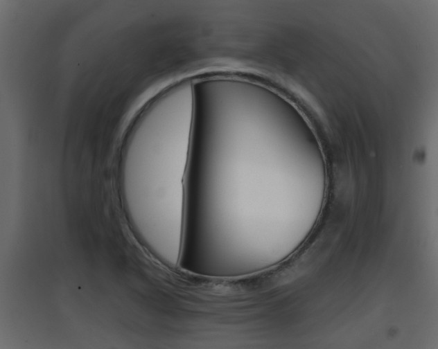 X0000094971318200711291128