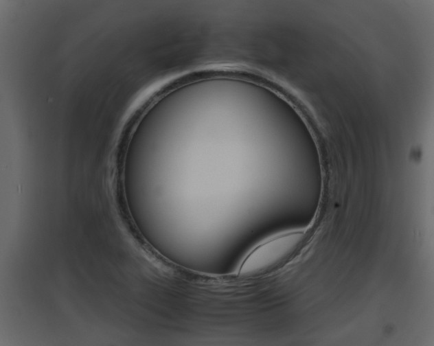 X0000094971319200711291128