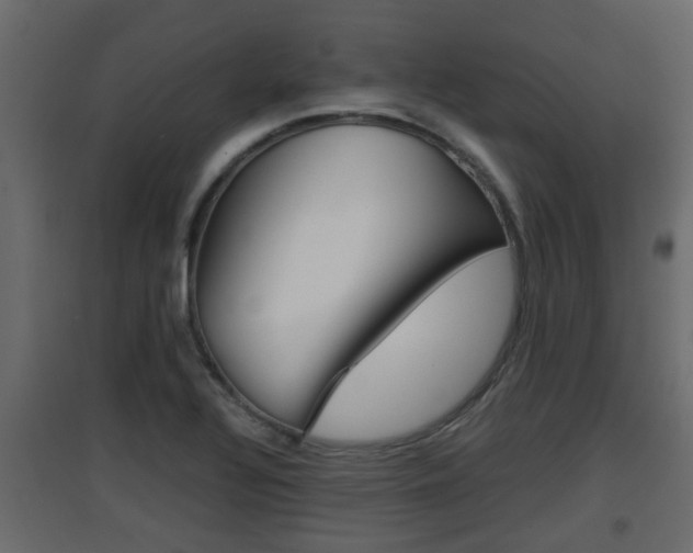 X0000094971320200711291128