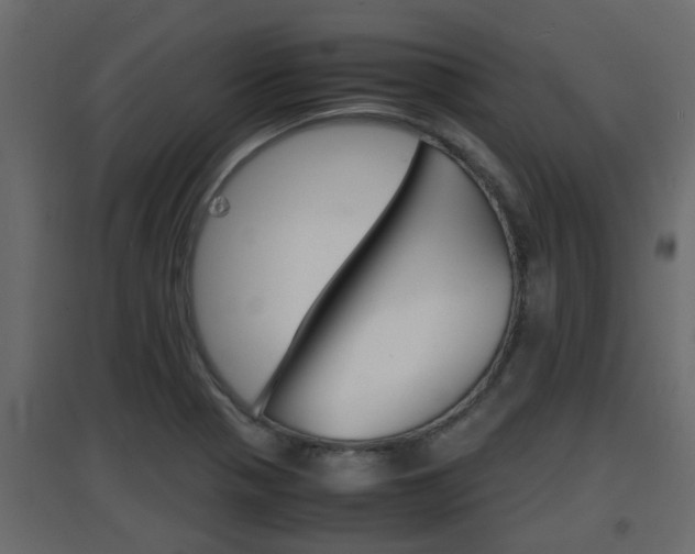 X0000094971321200711291128