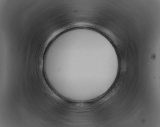 X0000094971322200711291128