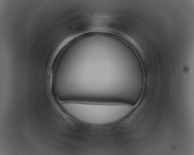 X0000094971323200711291128