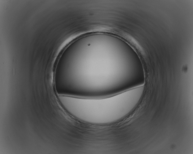 X0000094971324200711291128