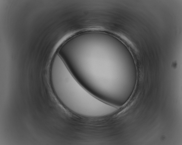 X0000094971325200711291129