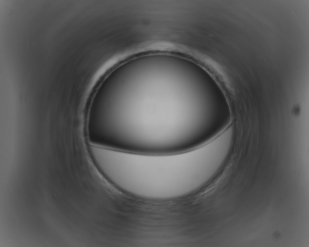 X0000094971326200711291129