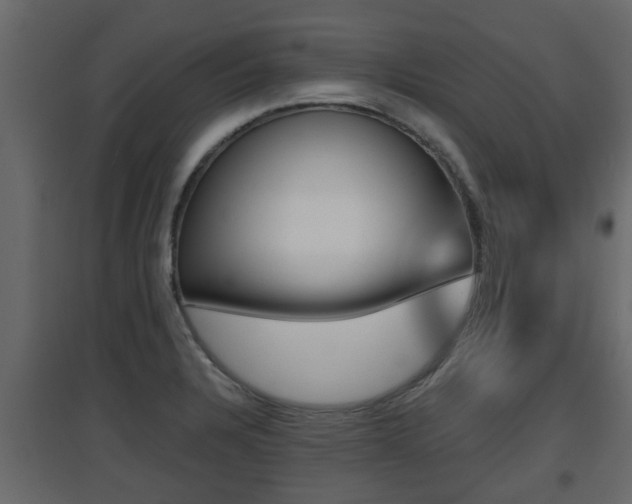 X0000094971328200711291129