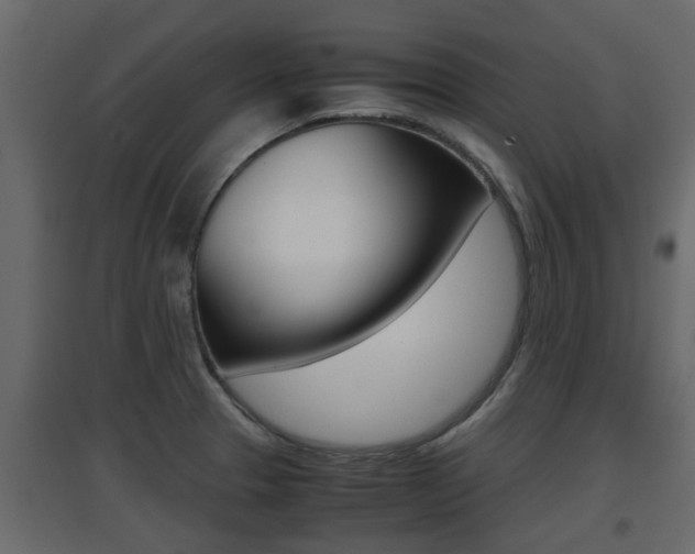 X0000094971329200711291129