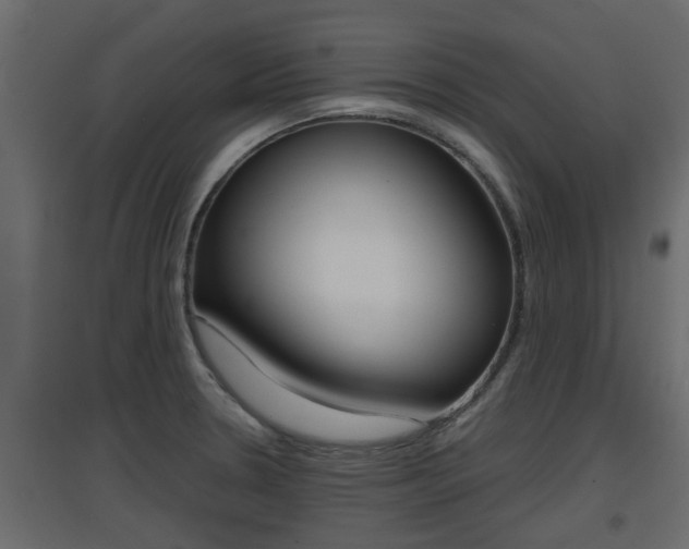 X0000094971330200711291129