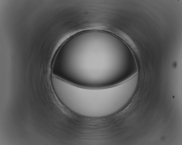 X0000094971332200711291129