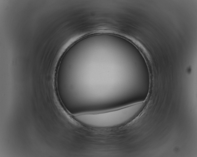 X0000094971333200711291129