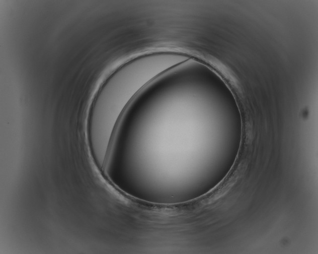 X0000094971334200711291129