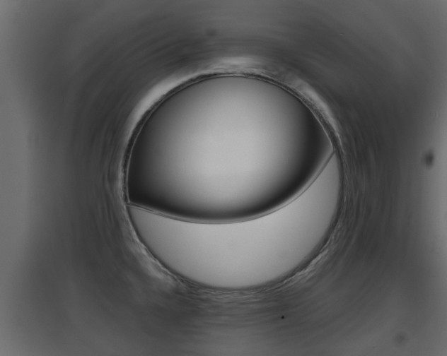 X0000094971336200711291129