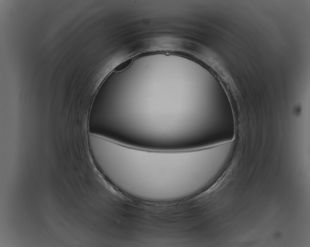 X0000094971337200711291129