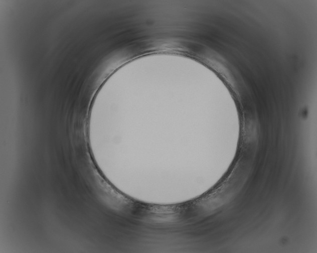 X0000094971338200711291129