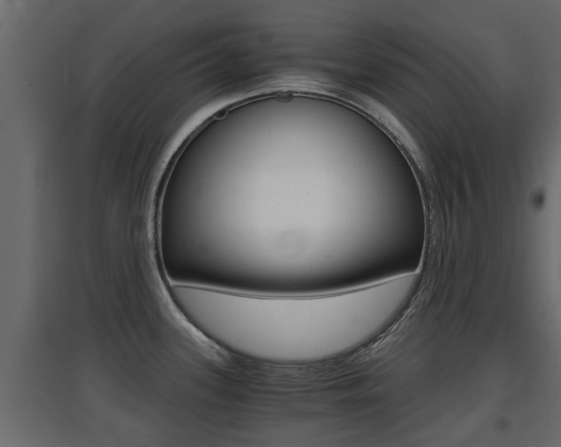 X0000094971339200711291129