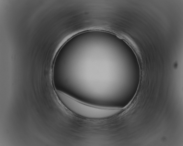 X0000094971340200711291129