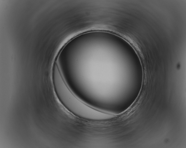 X0000094971342200711291129
