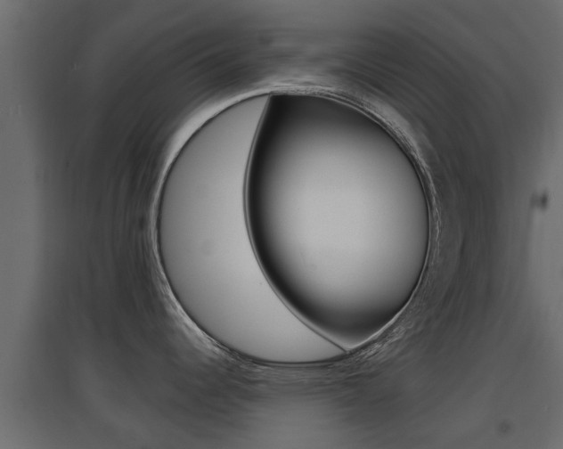 X0000094971344200711291129