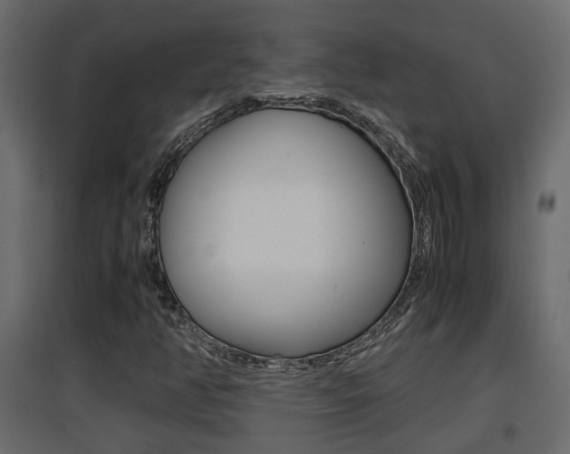 X0000094971350200711291128