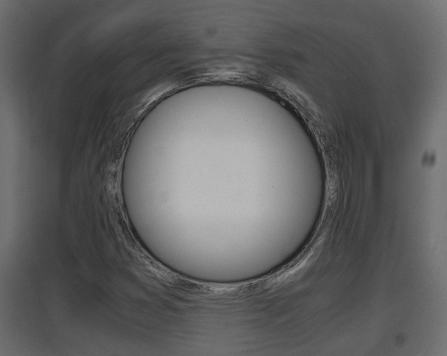 X0000094971353200711291128