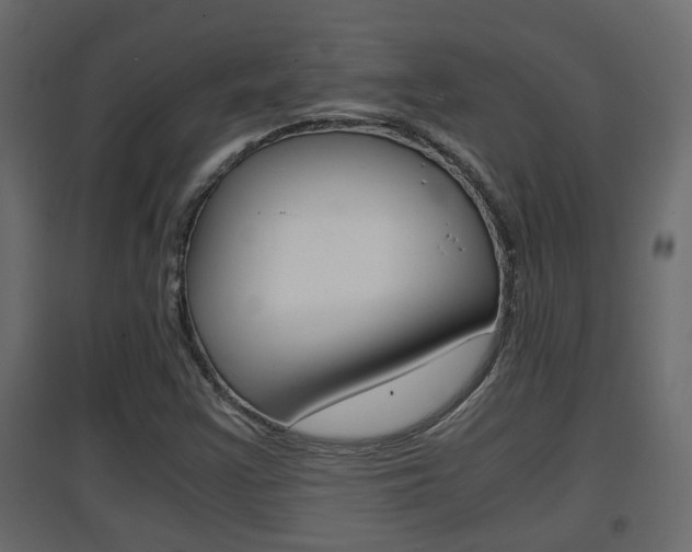 X0000094971355200711291128