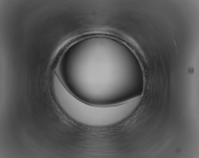 X0000094971360200711291128