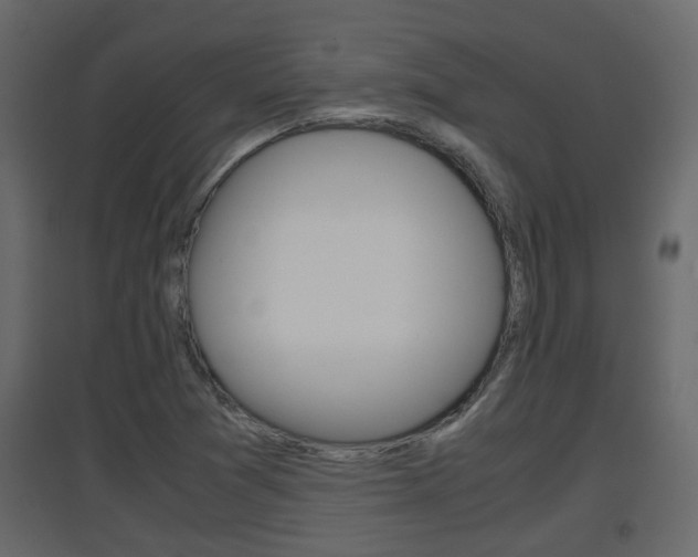 X0000094971361200711291128