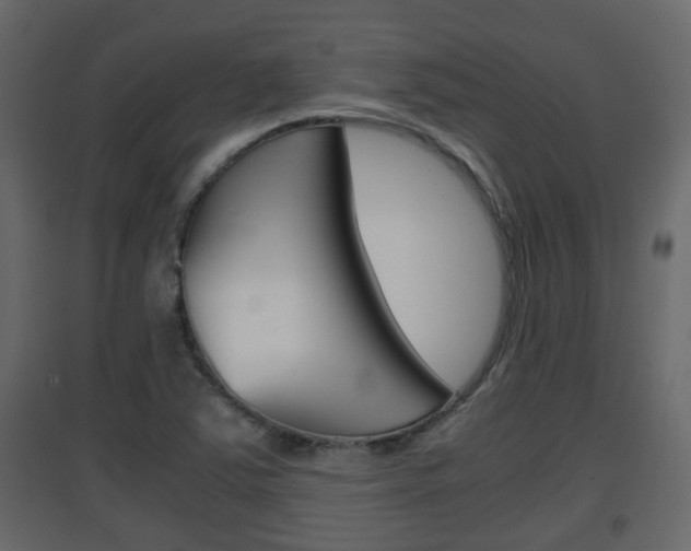 X0000094971363200711291128