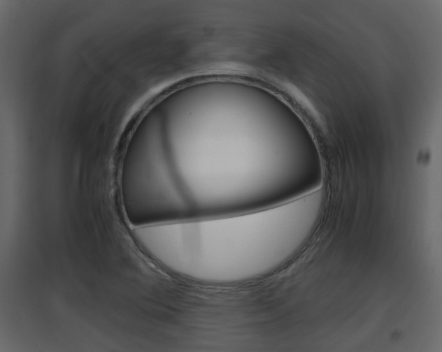 X0000094971364200711291128