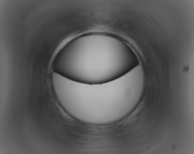 X0000094971366200711291128