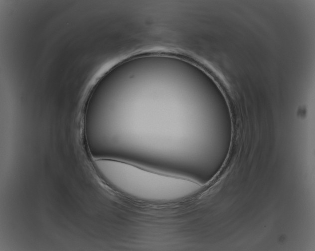 X0000094971367200711291128