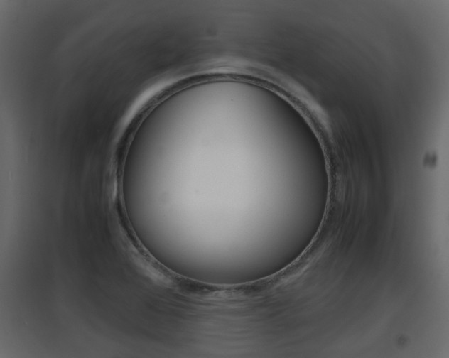 X0000094971368200711291128