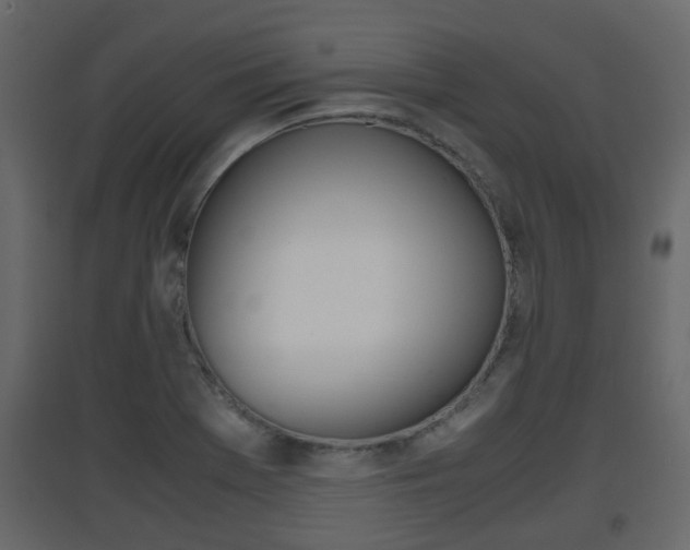 X0000094971369200711291128