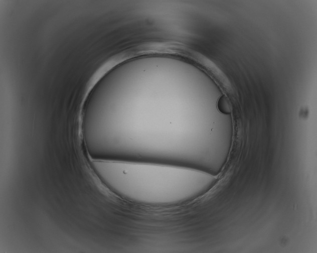 X0000094971370200711291128