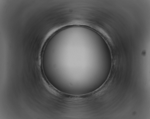 X0000094971372200711291128