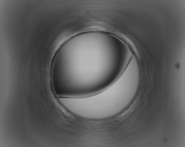 X0000094971373200711291128